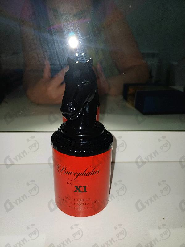 Отзывы Armaf Bucephalus XI