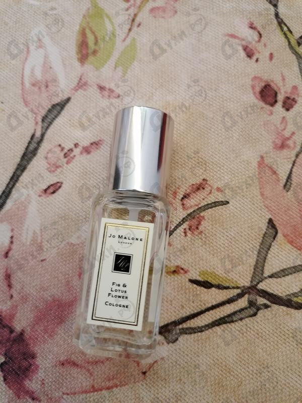 Купить Fig & Lotus Flower от Jo Malone