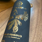Парфюм Montale Oudrising