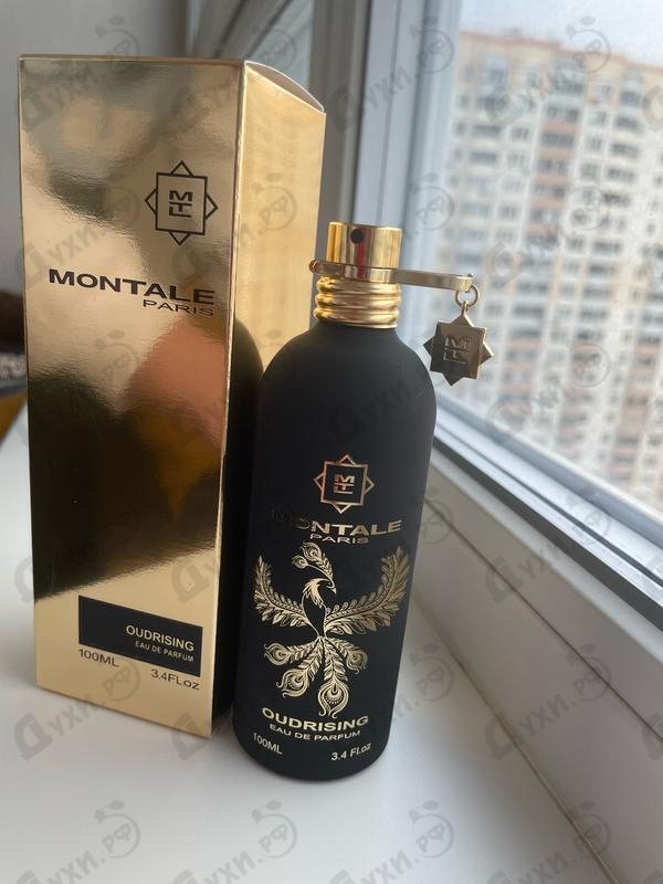 Купить Montale Oudrising