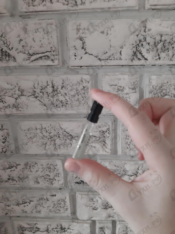 Парфюмерия Guilty Cologne pour Homme от Gucci Отзывы Gucci Guilty Cologne pour Homme