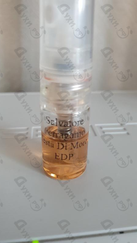 Духи Salvatore Ferragamo Testa Di Moro Купить Testa Di Moro от Salvatore Ferragamo