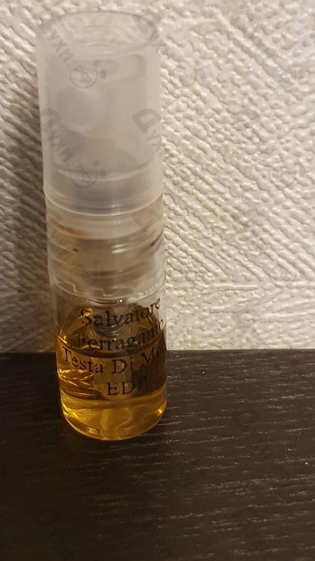 Парфюмерия Salvatore Ferragamo Testa Di Moro Парфюмерия Testa Di Moro от Salvatore Ferragamo