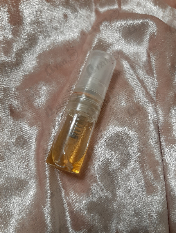 Купить Salvatore Ferragamo Testa Di Moro