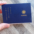 Духи I See The Clouds Go By от Floraiku