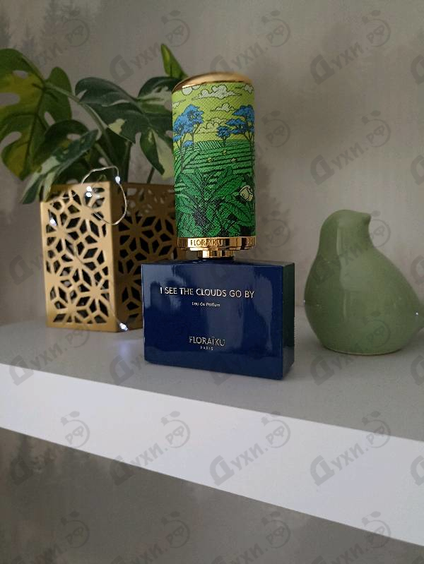 Купить I See The Clouds Go By от Floraiku