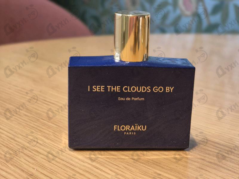 Купить I See The Clouds Go By от Floraiku