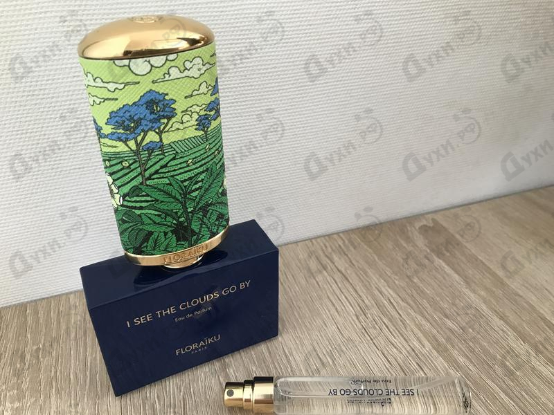 Купить Floraiku I See The Clouds Go By