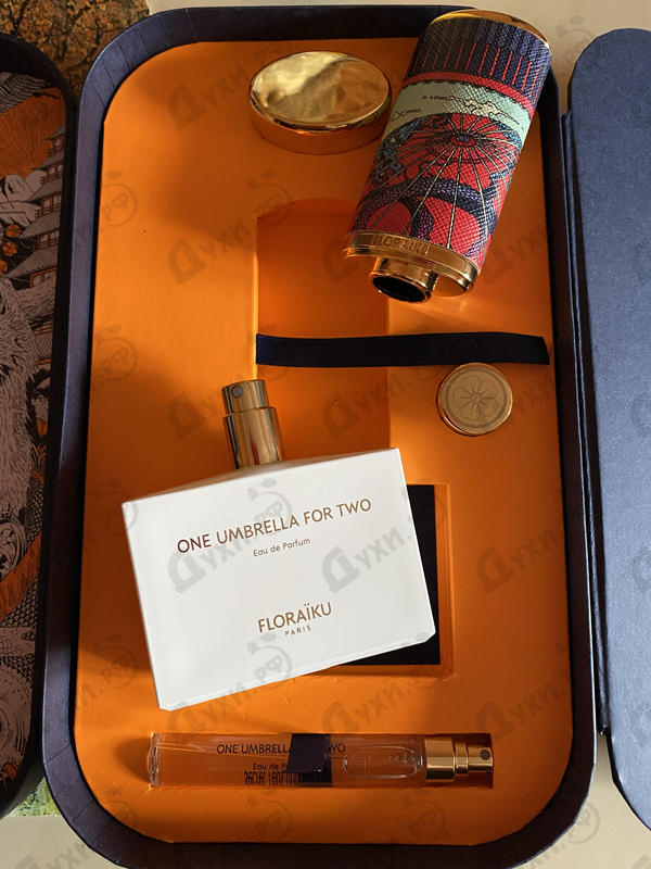 Купить One Umbrella For Two от Floraiku