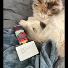 Отзыв Floraiku One Umbrella For Two