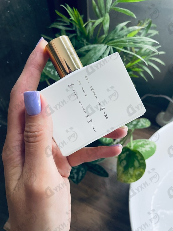 Купить One Umbrella For Two от Floraiku