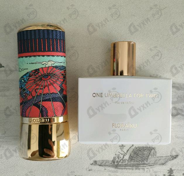 Купить One Umbrella For Two от Floraiku
