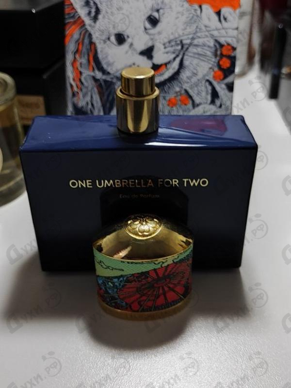 Отзыв Floraiku One Umbrella For Two