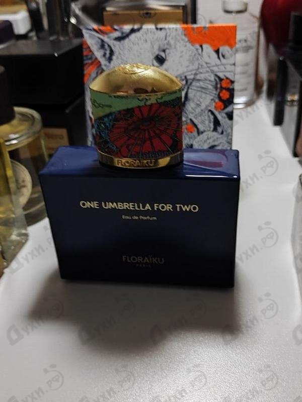 Купить One Umbrella For Two от Floraiku