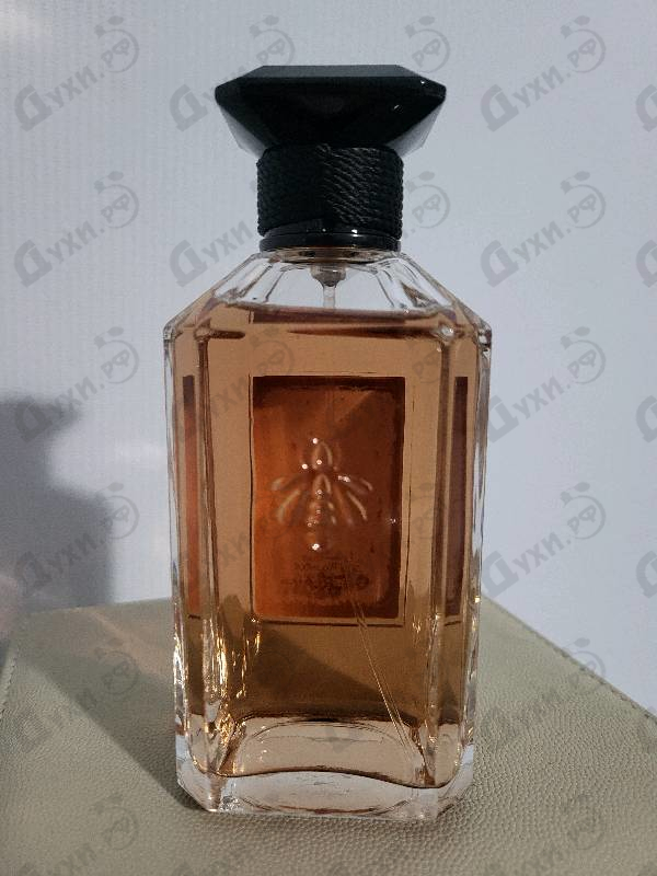 Отзыв Guerlain Iris Torrefie