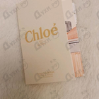 Отзыв Chloe Rose Tangerine