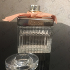 Отзыв Chloe Rose Tangerine