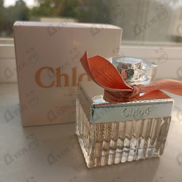 Отзыв Chloe Rose Tangerine Купить Rose Tangerine от Chloe