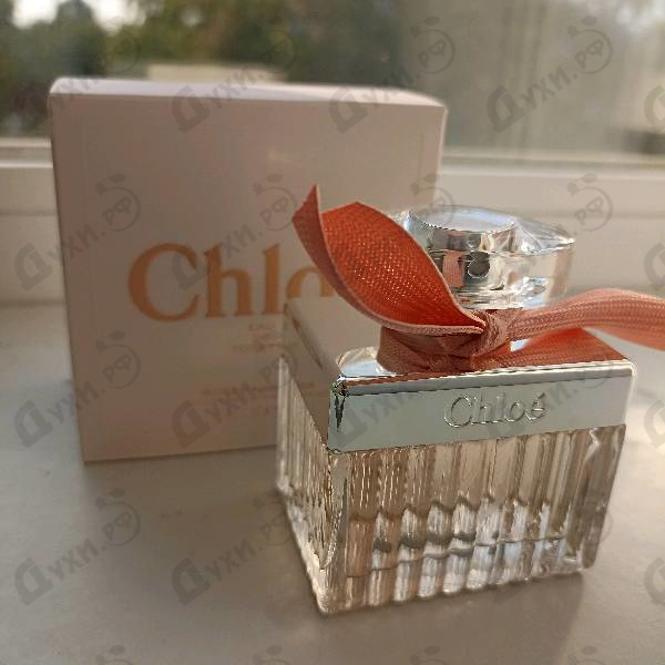 Купить Rose Tangerine от Chloe