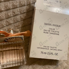 Отзыв Chloe Rose Tangerine