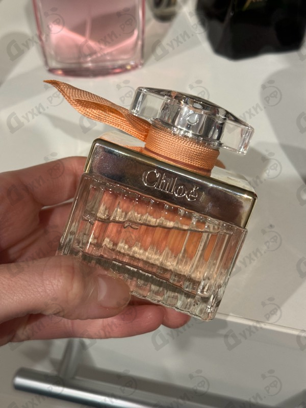 Отзывы Chloe Rose Tangerine