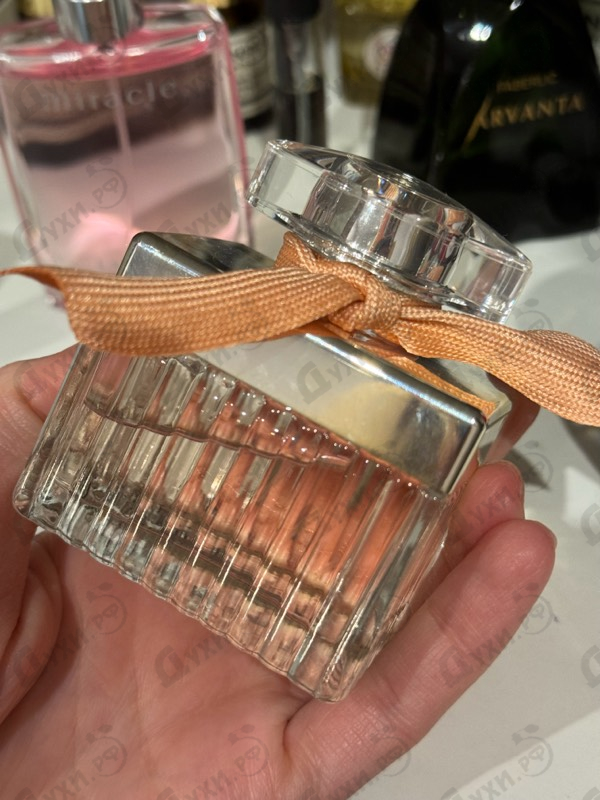 Отзывы Chloe Rose Tangerine Духи Rose Tangerine от Chloe