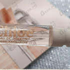 Отзыв Chloe Rose Tangerine