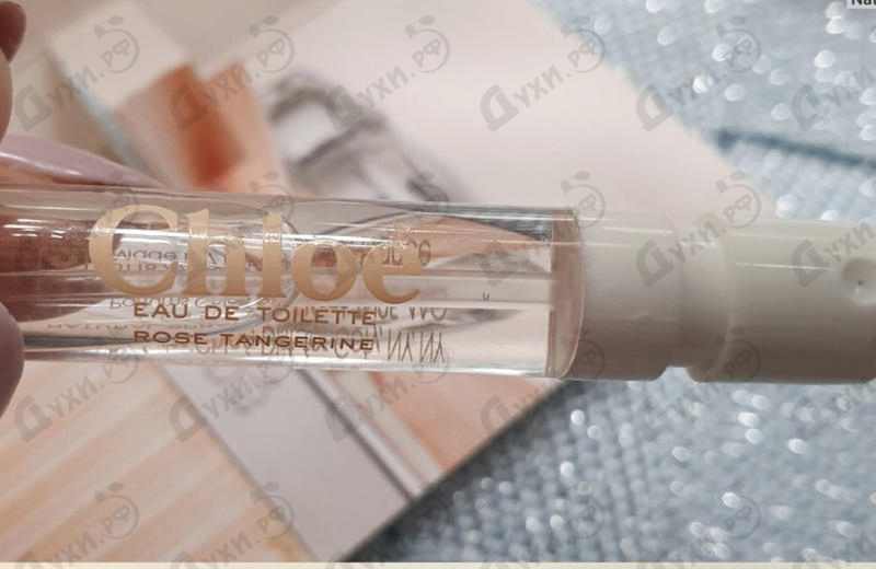 Купить Chloe Rose Tangerine