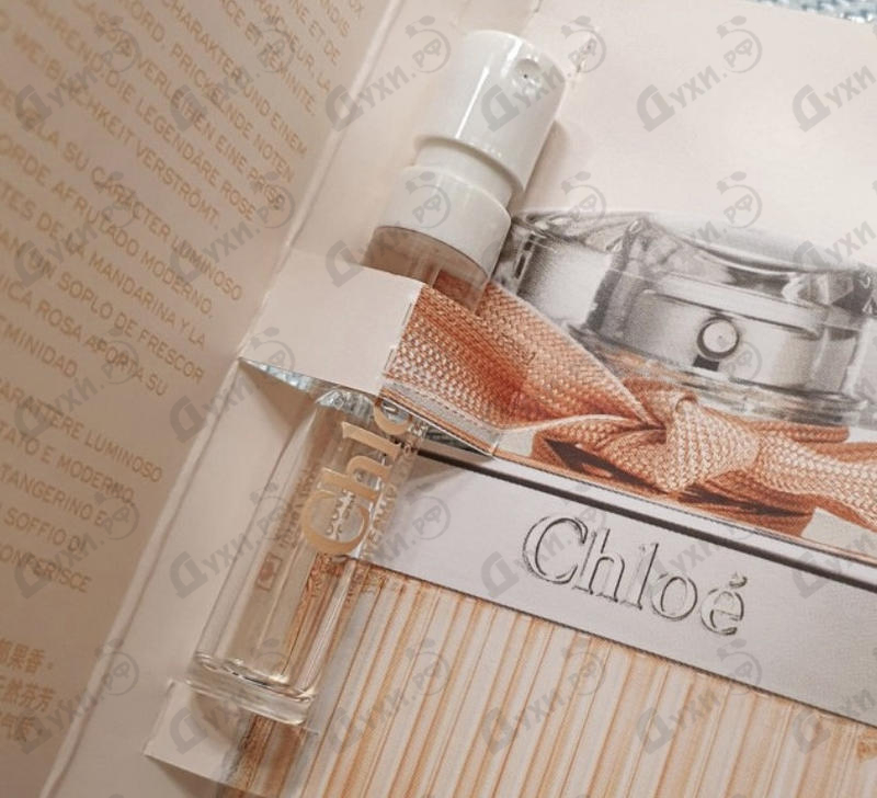Отзывы Chloe Rose Tangerine