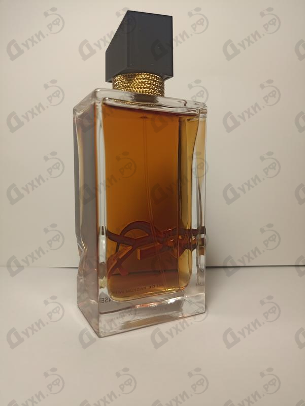 Отзывы Yves Saint Laurent Libre Eau De Parfum Intense