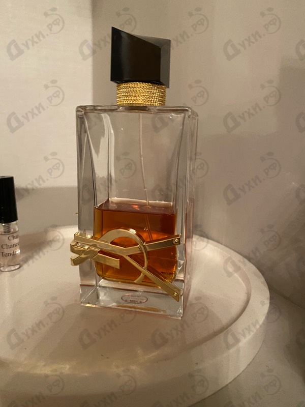 Отзыв Yves Saint Laurent Libre Eau De Parfum Intense
