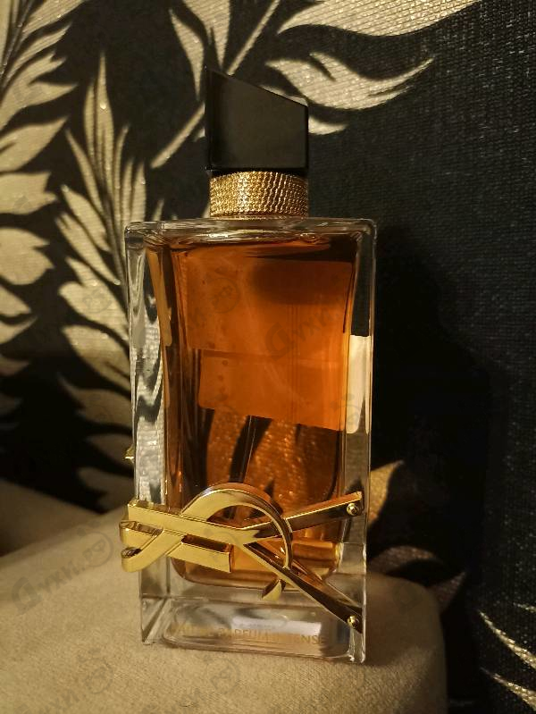 Отзыв Yves Saint Laurent Libre Eau De Parfum Intense