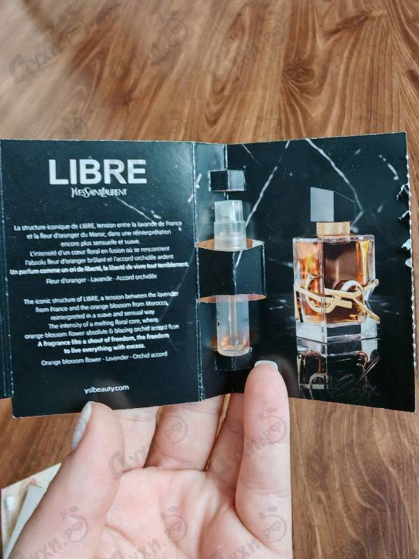 Отзыв Yves Saint Laurent Libre Eau De Parfum Intense