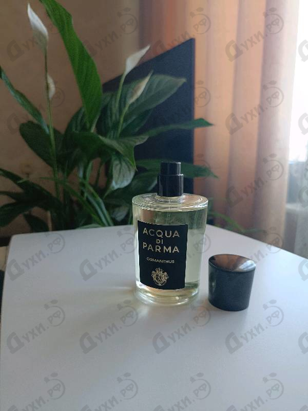Парфюмерия Acqua Di Parma Osmanthus