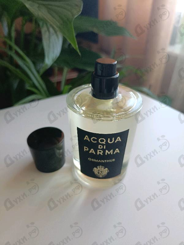Отзывы Acqua Di Parma Osmanthus