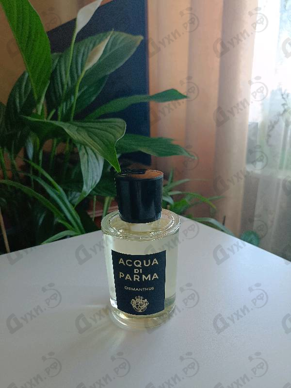 Отзыв Acqua Di Parma Osmanthus