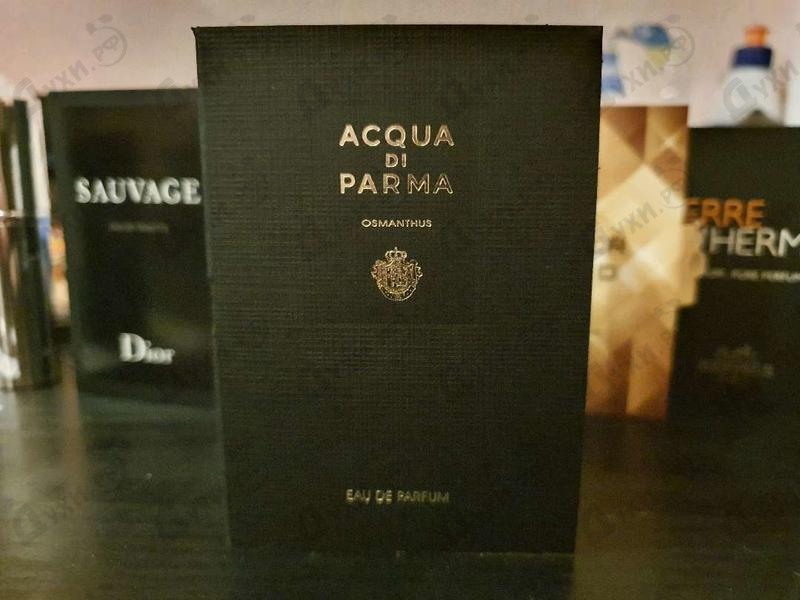 Отзывы Acqua Di Parma Osmanthus