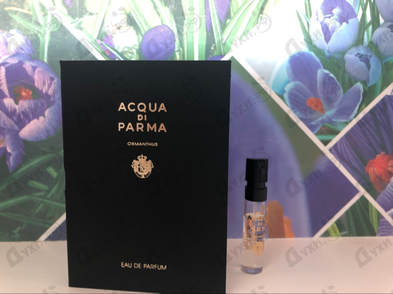 Парфюмерия Osmanthus от Acqua Di Parma