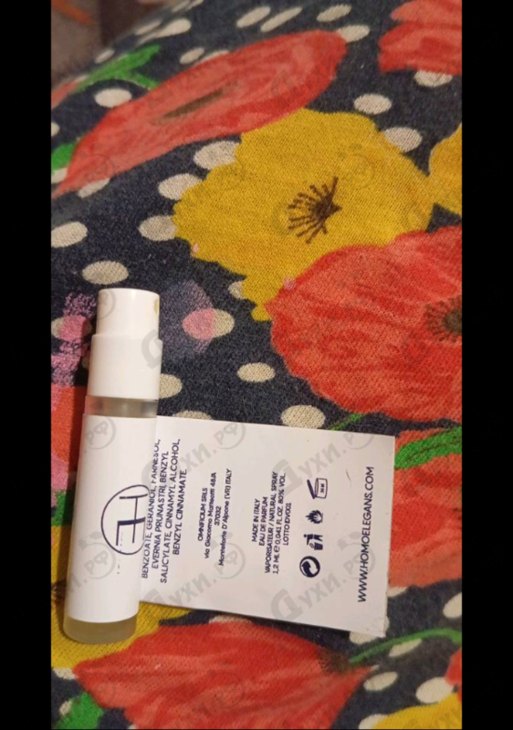 Купить Homo Elegans Like A Jewel