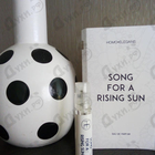 Отзыв Homo Elegans Song For A Rising Sun