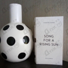 Отзыв Homo Elegans Song For A Rising Sun