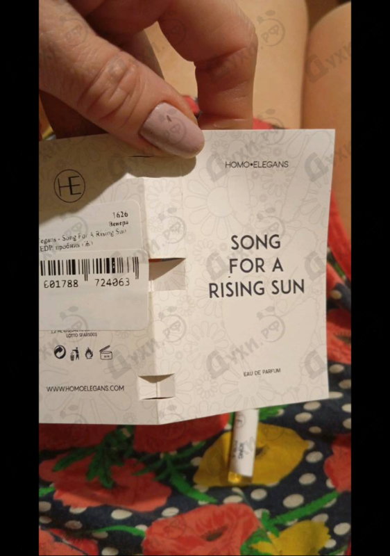 Купить Song For A Rising Sun от Homo Elegans