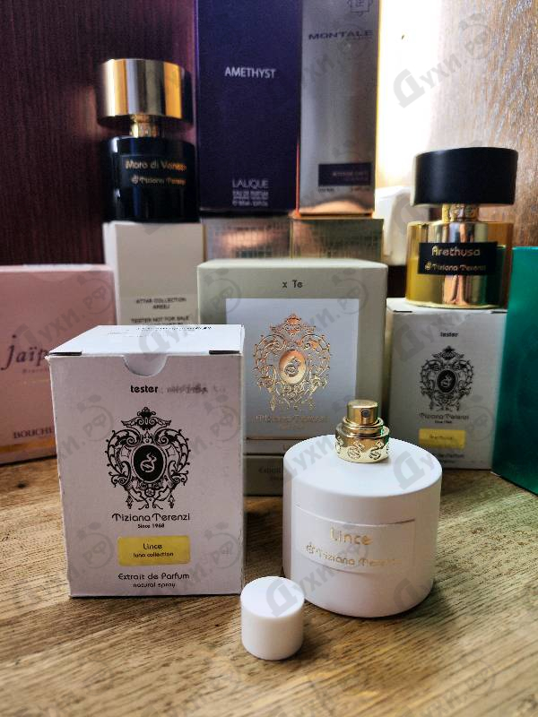 Отзывы Tiziana Terenzi Lince