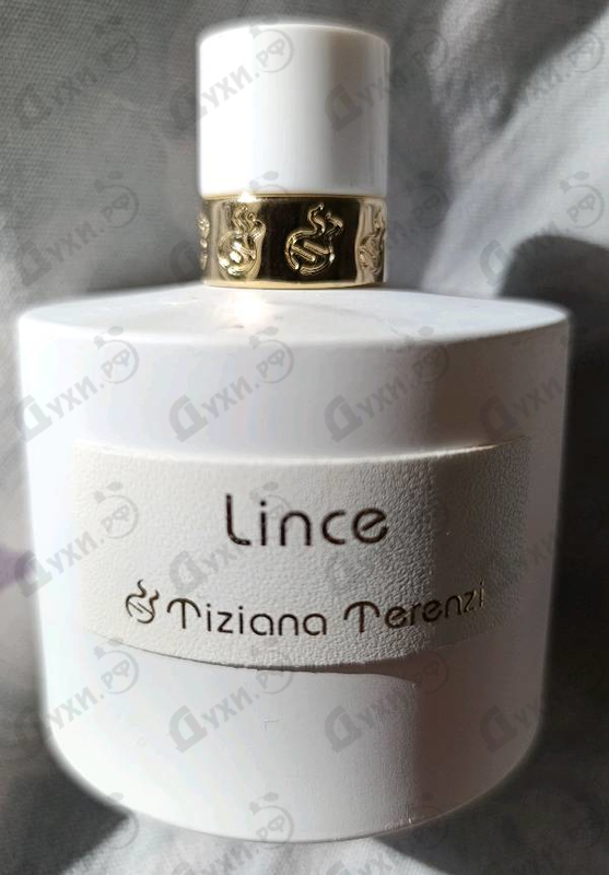 Купить Lince от Tiziana Terenzi