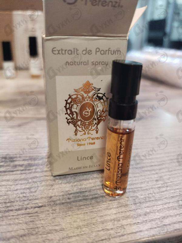 Купить Lince от Tiziana Terenzi