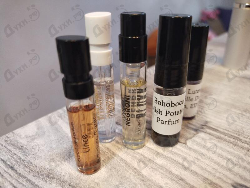 Купить Lince от Tiziana Terenzi