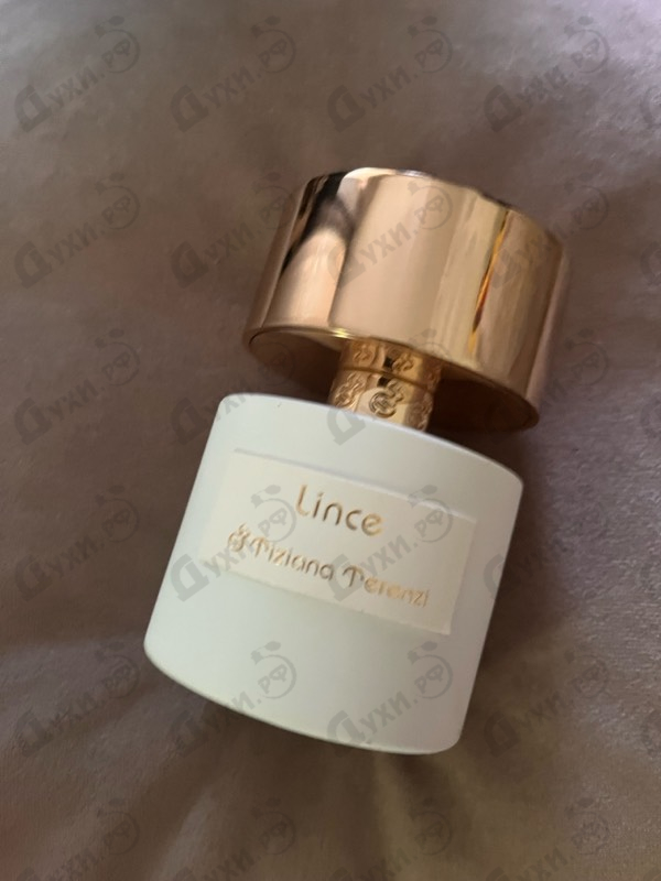 Купить Lince от Tiziana Terenzi