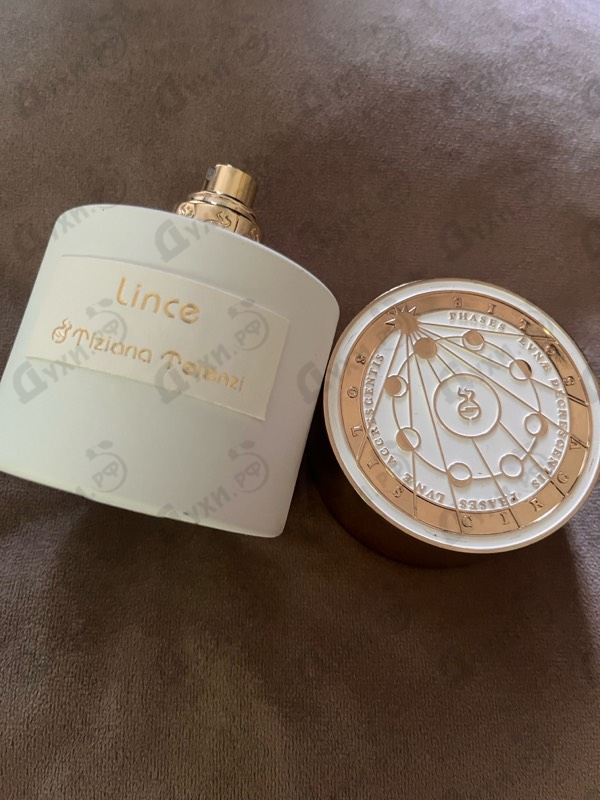 Купить Lince от Tiziana Terenzi