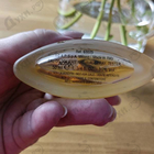 Парфюм Trussardi Donna 1994