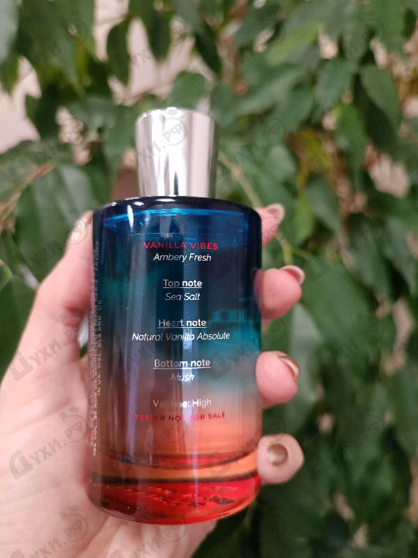 Духи Vanilla Vibes от Juliette Has A Gun